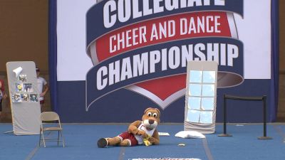 College of Charleston - Clyde the Cougar [2023 Mascot] 2023 NCA & NDA College National Championship