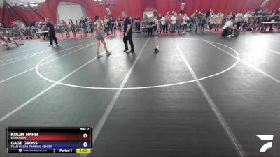 114 lbs Quarterfinal - Kolby Hahn, Wisconsin vs Gage Gross, Team Nazar Training Center