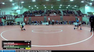 195 lbs Quarterfinal - Cale Metzler, Noblesville Wrestling Club vs Ceasar Salas, Merrillville Pirates Wrestling