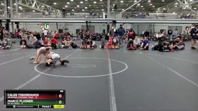 68 lbs Semis (4 Team) - Marco Plasner, PA Alliance vs Caleb Tsikerdanos, Warhawk National Team