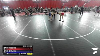 138 lbs Cons. Round 3 - Dana Wickson, IL vs Cavin Carlson, MN