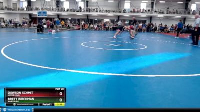 Silver 125 lbs Quarterfinal - Brett Birchman, Wartburg vs Dawson Schmit, Upper Iowa