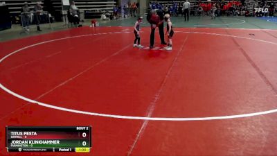 45 lbs Semis (4 Team) - Titus Pesta, Sartell vs Jordan Klinkhammer, Farmington