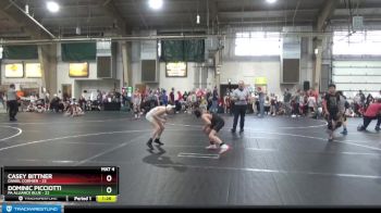 84 lbs Round 4 (6 Team) - Dominic Picciotti, PA Alliance Blue vs Casey Bittner, Daniel Cormier