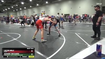 175 lbs Cons. Round 3 - Dominic Ricciardi, Frontenac Youth Wrestling Club vs Jacob Bible, Maize