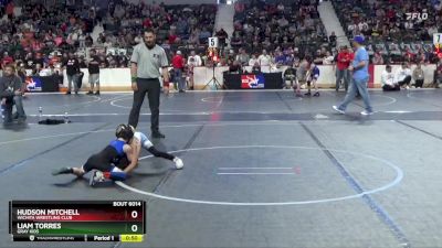 43 lbs Champ. Round 1 - Hudson Mitchell, Wichita Wrestling Club vs Liam Torres, Gray Kids