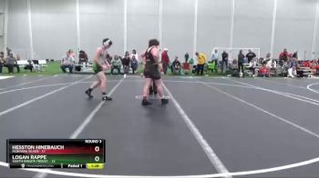 182 lbs Round 3 (4 Team) - Hesston Hinebauch, Montana Silver vs Logan Rappe, South Dakota Frenzy