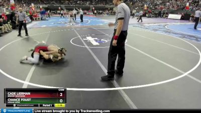 Quarterfinal - Cade Lierman, Bishop Neumann vs Chance Foust, Logan View