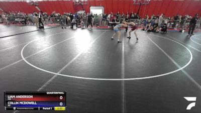 132 lbs Quarterfinal - Liam Anderson, MN vs Collin McDowell, WI