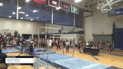 Rachel Chesley - Bars, Wisconsin-La Crosse - 2022 NCGA Championships