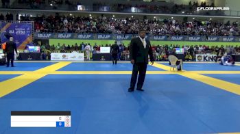 RUBEN ARAUJO vs ARYA ESFANDMAZ 2019 European Jiu-Jitsu IBJJF Championship