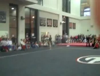 Gym Dog Sneak Peak - Floor - Lauren Johnson