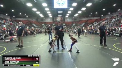 46 lbs Cons. Round 5 - Tucker Johnson, Gobles Youth WC vs Jace Guswiler, Roseville Eagles WC