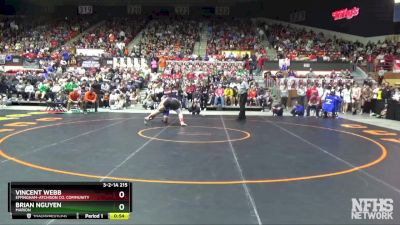 3-2-1A 215 Cons. Semi - Vincent Webb, Effingham-Atchison Co. Community vs Brian Nguyen, Marion