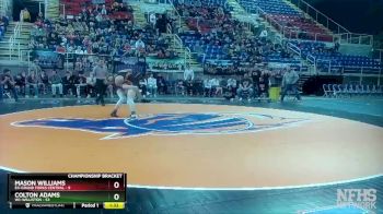 160 lbs Quarterfinals (8 Team) - Colton Adams, W1-Williston vs Mason Williams, E4-Grand Forks Central