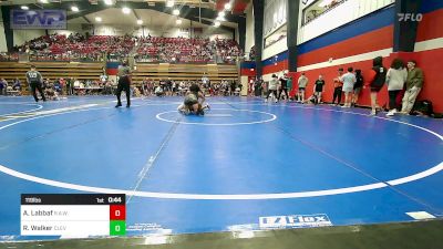 119 lbs Consi Of 8 #2 - Arman Labbaf, R.A.W. vs Randy Walker, Cleveland Take Down Club