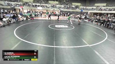 182 lbs Semis & 1st Wrestleback (8 Team) - Lucas Peterson, Rochester Mayo vs AJ Garcia, Apple Valley