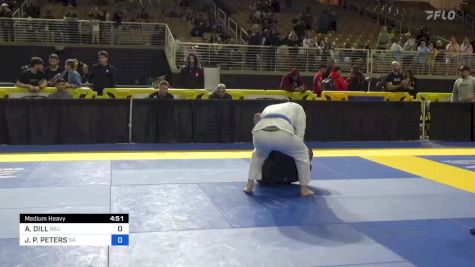 ALEX DILL vs JAMES P. PETERS 2024 Pan Jiu Jitsu IBJJF Championship