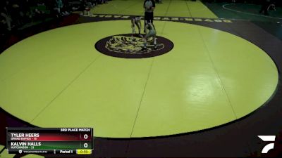 80 lbs Placement (4 Team) - Kalvin Halls, Hutchinson vs Tyler Heers, Grand Rapids