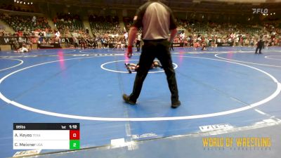 96 lbs Round Of 32 - Alexander Keyes, Texas Elite Wrestling Club vs Colton Meixner, USA Gold