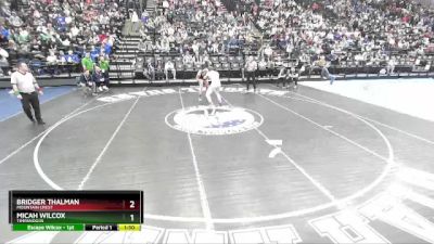 175 lbs Quarterfinal - Bridger Thalman, Mountain Crest vs Micah Wilcox, Timpanogos