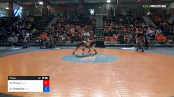 130 lbs Final - Andribeth Rivera, Campbellsville University vs Cara Romeike, University Of Jamestown