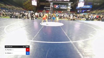 220 lbs Cons 16 #1 - Alexander Nunez, Missouri vs Aidan Odom, Arizona