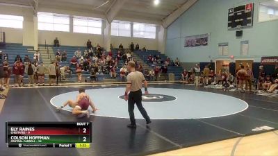 132 lbs Semis & 1st Wb (8 Team) - Colson Hoffman, Central Carroll vs Ely Raines, Chestatee