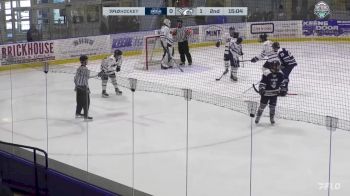 Replay: Home - 2024 St. Anselm vs UNH | Feb 24 @ 10 AM