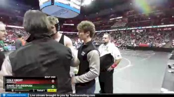 D3-220 lbs Semifinal - David Gauderman, Wittenberg-Birn. vs Cole Ebert, Reedsville