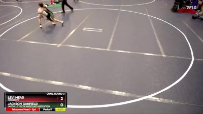 92 lbs Cons. Round 3 - Jackson Ganfield, Lakeville Youth Wrestling Association vs Levi Mead, Minnesota