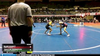 133 lbs Round 1 (3 Team) - Blake Schmitt, Liberty University vs Temuujin Erdenetuya, Marymount University