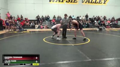 29 lbs Round 3 - Caleb Marr, Riceville vs Kamden Teisinger, Denver