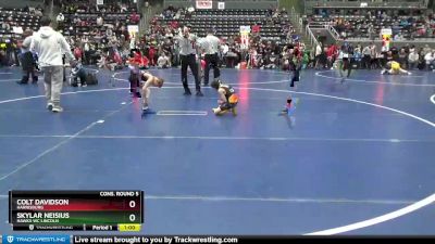 60 lbs Cons. Round 5 - Skylar Neisius, Hawks WC Lincoln vs Colt Davidson, Harrisburg