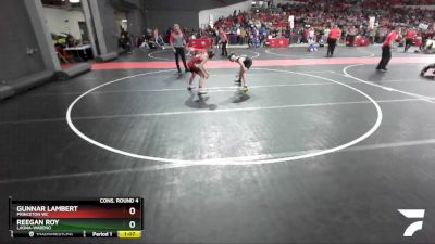 90 lbs Cons. Round 4 - Reegan Roy, Laona-Wabeno vs Gunnar Lambert, Princeton WC