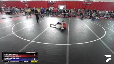 126 lbs Quarterfinal - Brian Whipple, Askren Wrestling Academy vs Lane Andersen, Wisconsin