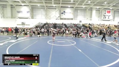 78 lbs Cons. Round 3 - Brantley Davis, Black Belt Wrestling Academy vs Liam Hamm, Bulldogs Youth Wrestling (Far Western)