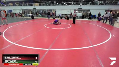 123 lbs Cons. Semi - Cody Wimer, Reel Wrestling Club vs Blake Condino, Tallwood Wrestling Club