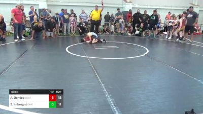 65 lbs Pools - Aj Domico, West Virginia Wild vs Steven Imbrogno, Ohio Gold