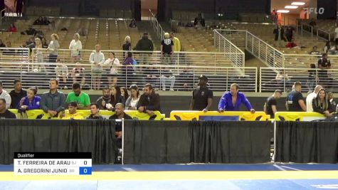 ROBERTO GODOI vs THIAGO FERREIRA DE ARAUJO E SILV 2024 Pan Jiu Jitsu IBJJF Championship