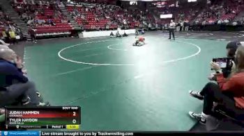 D1-160 lbs Champ. Round 1 - Tyler Haydon, River Falls vs Judah Hammen, Kaukauna