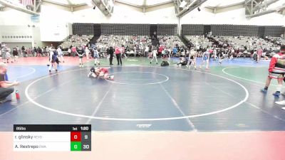 85 lbs Rr Rnd 8 - Raymond Glinsky, Revolution Elite vs Alesandro Restrepo, Roundtree Wrestling Academy Black