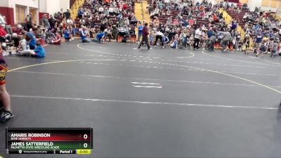 Round 2 - Amaris Robinson, Dixie Hornets vs James Satterfield, Palmetto State Wrestling Acade