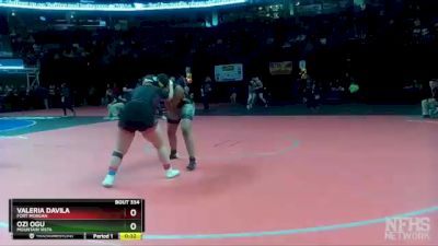 190 lbs Cons. Round 3 - Ozi Ogu, Mountain Vista vs Valeria Davila, Fort Morgan