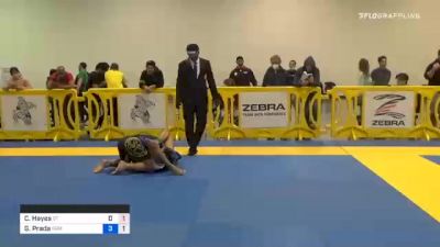 Christopher Hayes vs Guillaume Prada 2020 IBJJF Pan No-Gi Championship