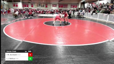 152 lbs Quarterfinal - Michael Anniballi, Natick vs Jason Belkus, Central Catholic