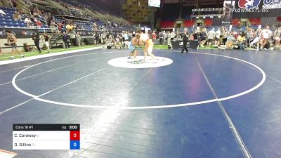 220 lbs Cons 16 #1 - Cooper Caraway, Illinois vs Darian Gillins, Florida