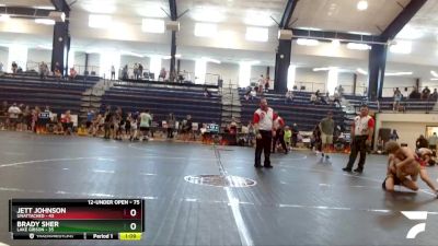 75 lbs Round 4 - Brady Sher, Lake Gibson vs Jett Johnson, Unattached