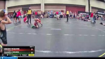 49 lbs Round 1 (6 Team) - Vincent McQuone, Steel Valley vs Maxwell Golden, Team Mitten