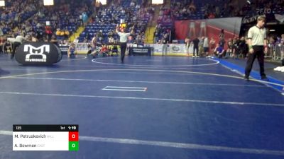 110 lbs Round Of 16 - Lukas Smith, Rockwood vs Alden Rockacy, Pine Richland